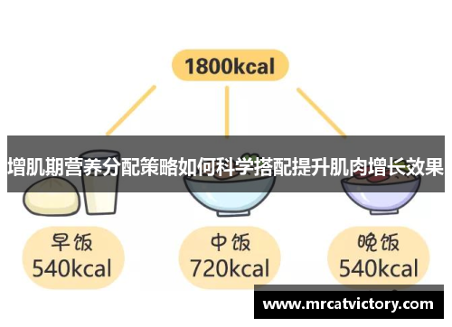 增肌期营养分配策略如何科学搭配提升肌肉增长效果