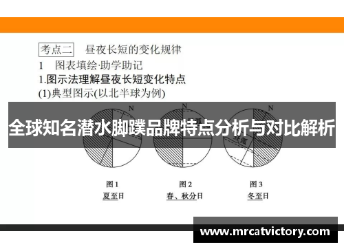 全球知名潜水脚蹼品牌特点分析与对比解析