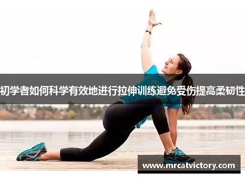 初学者如何科学有效地进行拉伸训练避免受伤提高柔韧性